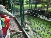 Výlet do ZOO Chleby a Labyrintária Loučeň